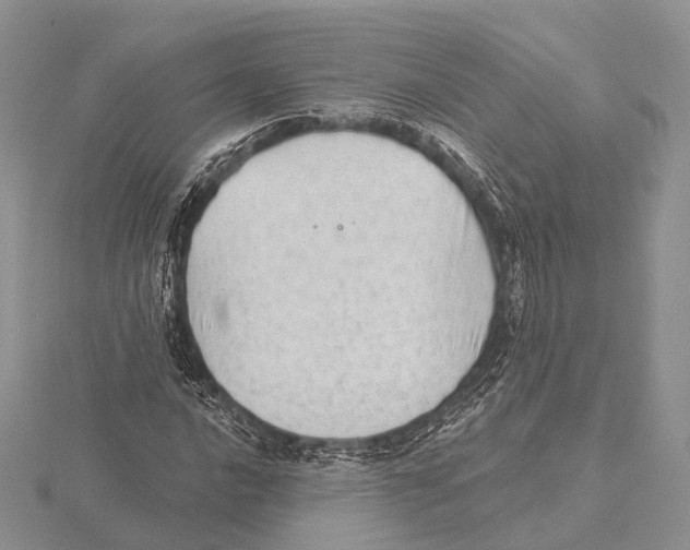 X0000115631016200912081039