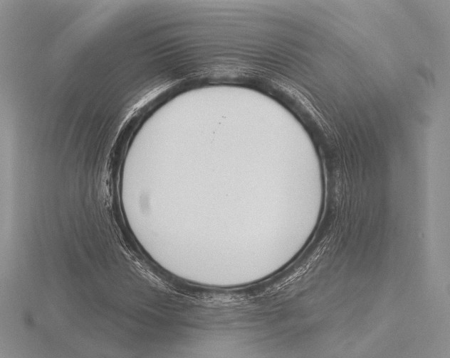X0000115631018200912081039