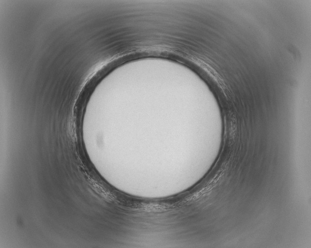 X0000115631022200912081039