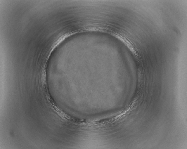 X0000115631023200912081039
