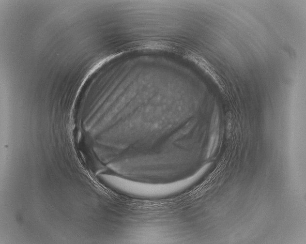 X0000115631024200912081039