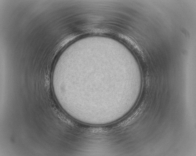 X0000115631025200912081039