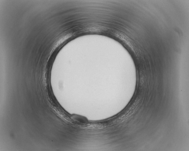 X0000115631026200912081039
