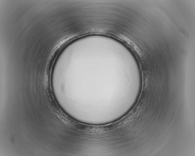 X0000115631027200912081039