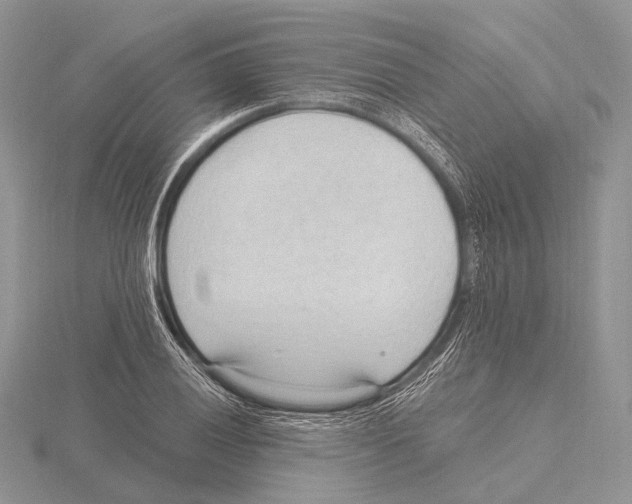 X0000115631028200912081039
