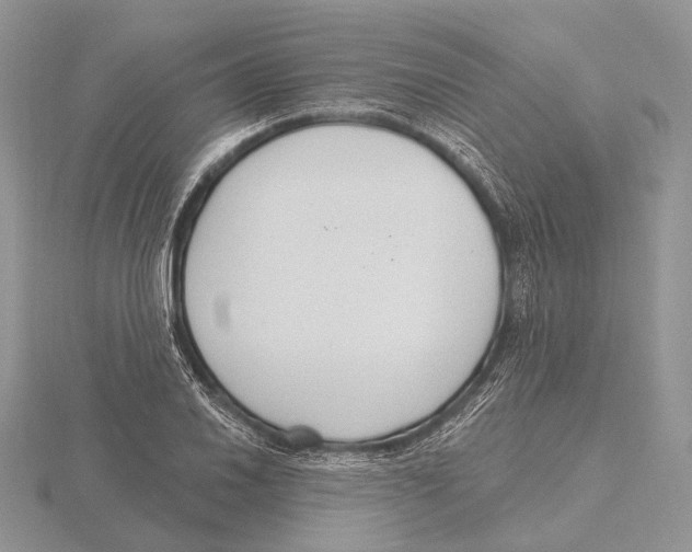 X0000115631030200912081039