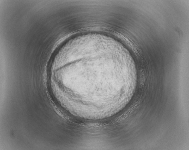 X0000115631031200912081039