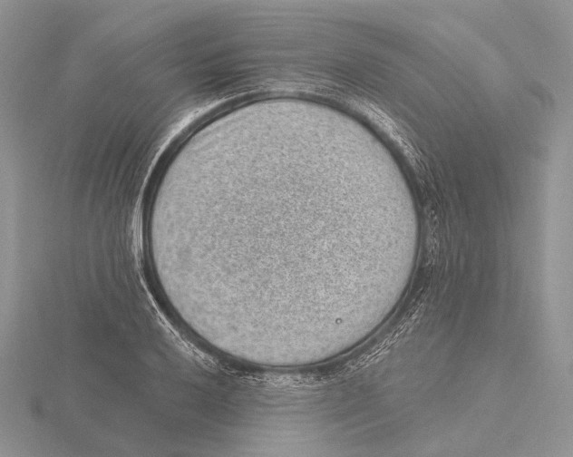 X0000115631032200912081039