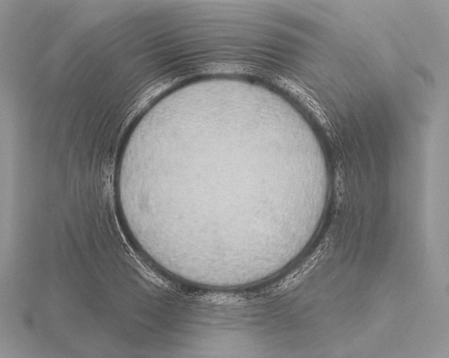 X0000115631033200912081039
