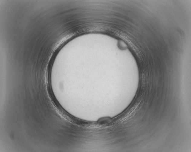 X0000115631034200912081039
