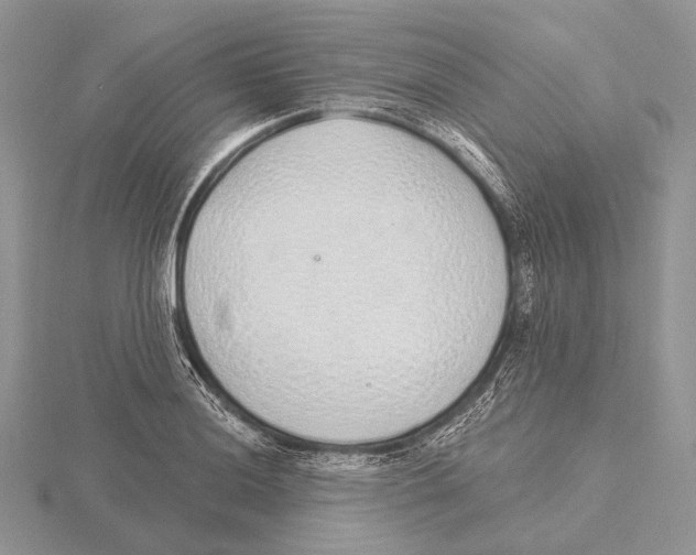 X0000115631036200912081039