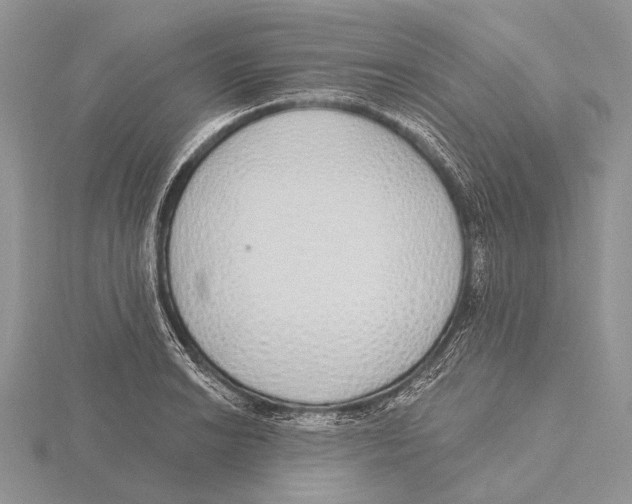 X0000115631038200912081039