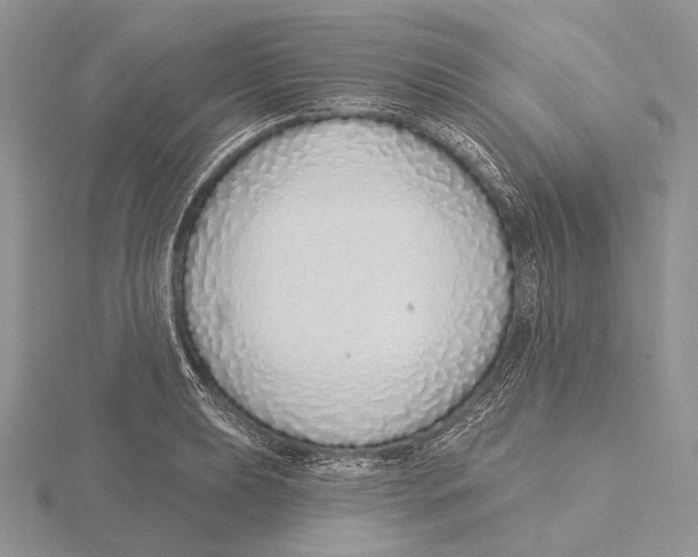 X0000115631039200912081039