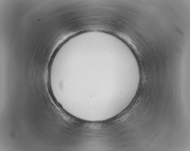 X0000115631040200912081039
