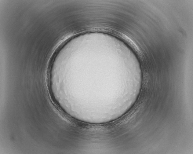 X0000115631043200912081039