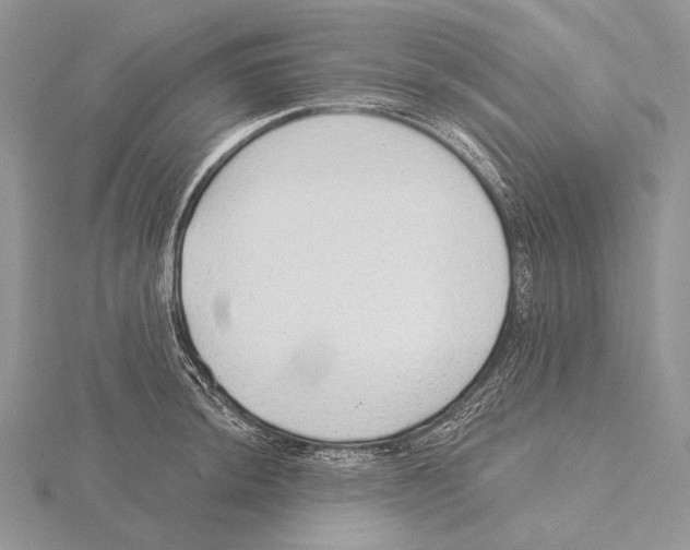 X0000115631044200912081039