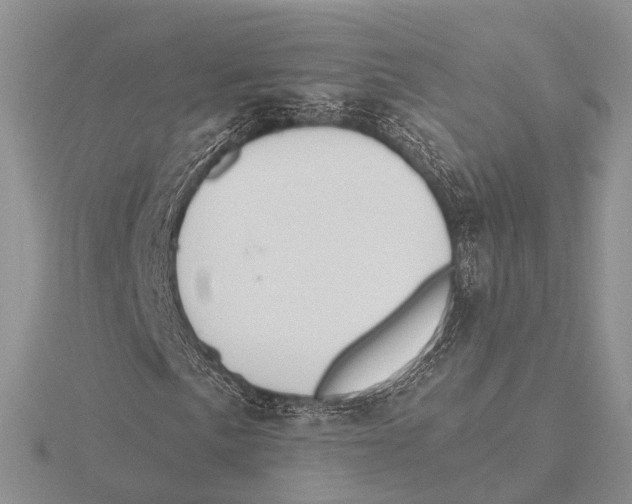 X0000115631057200912081039