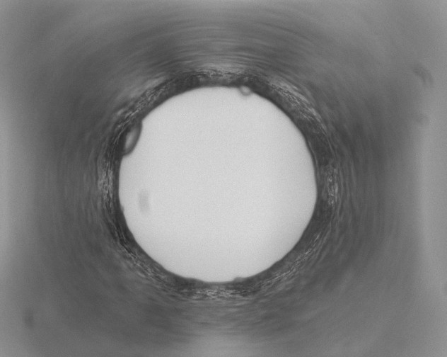X0000115631061200912081039