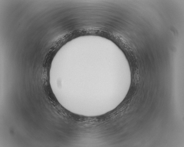 X0000115631062200912081039
