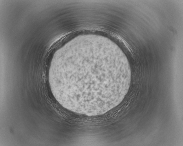 X0000115631064200912081039