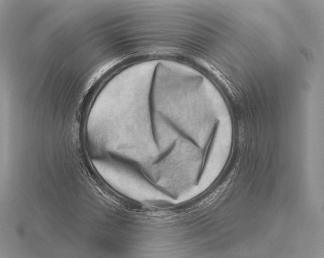 X0000115631066200912081039