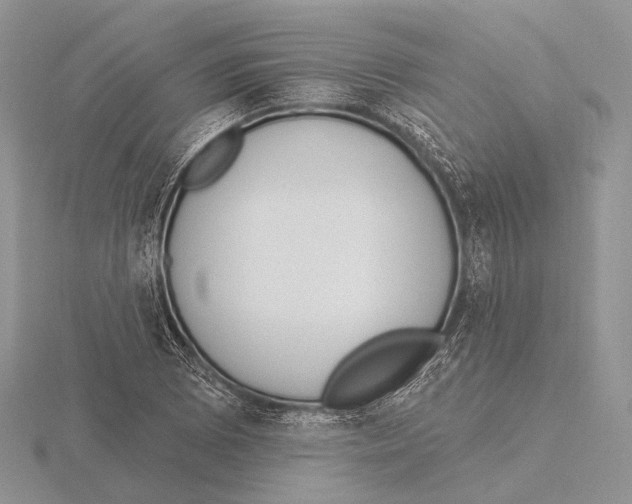 X0000115631073200912081038