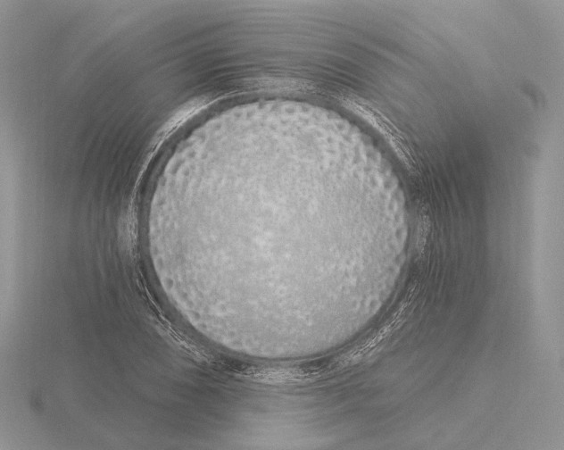 X0000115631074200912081038