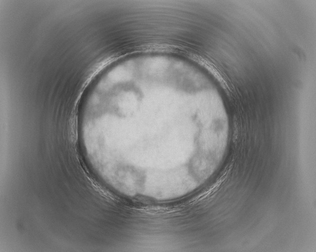 X0000115631075200912081038