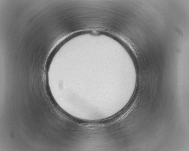 X0000115631077200912081038