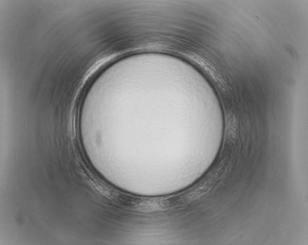 X0000115631078200912081038