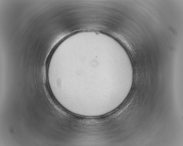 X0000115631079200912081038