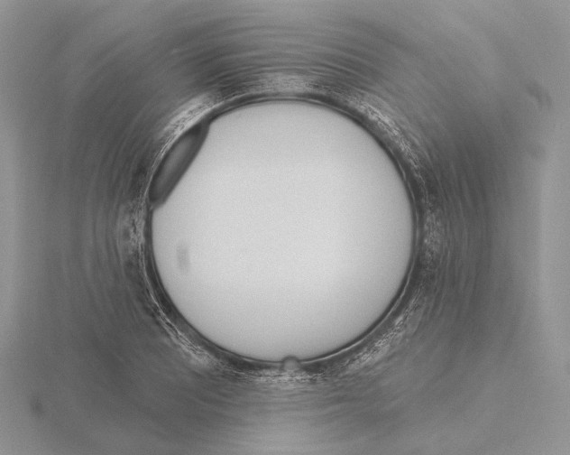 X0000115631081200912081038