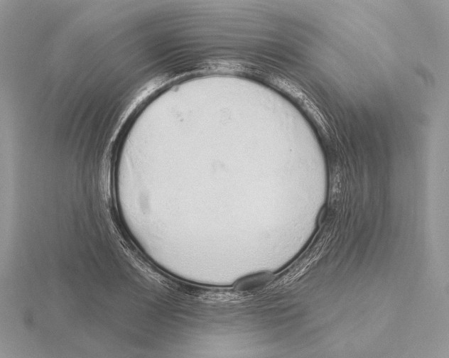 X0000115631083200912081038