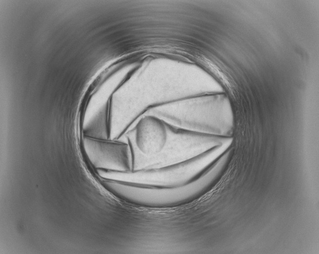 X0000115631084200912081038