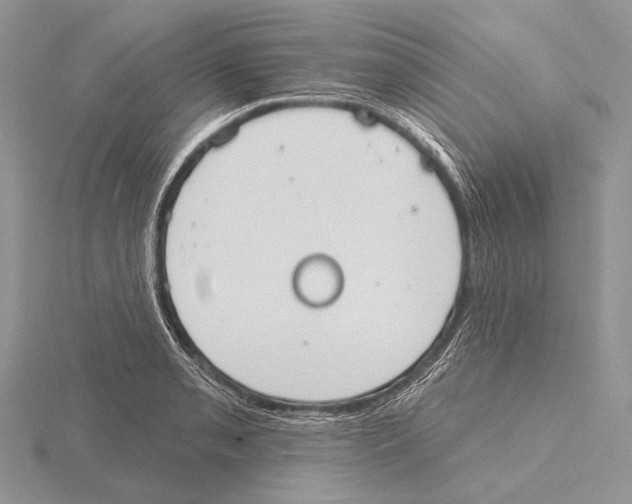 X0000115631085200912081038