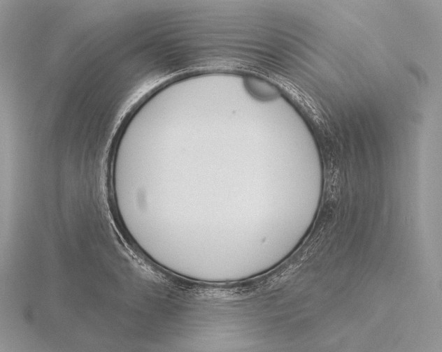 X0000115631086200912081038