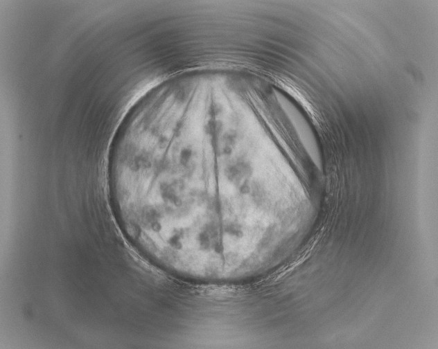 X0000115631087200912081038