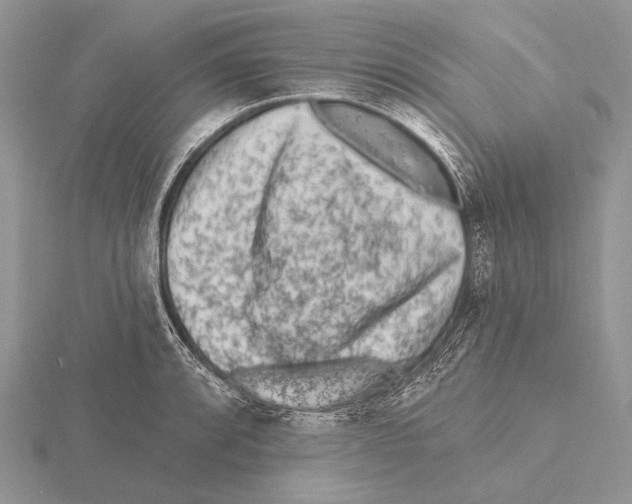 X0000115631088200912081038