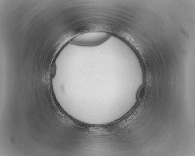 X0000115631089200912081038