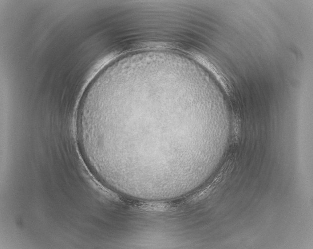 X0000115631090200912081038