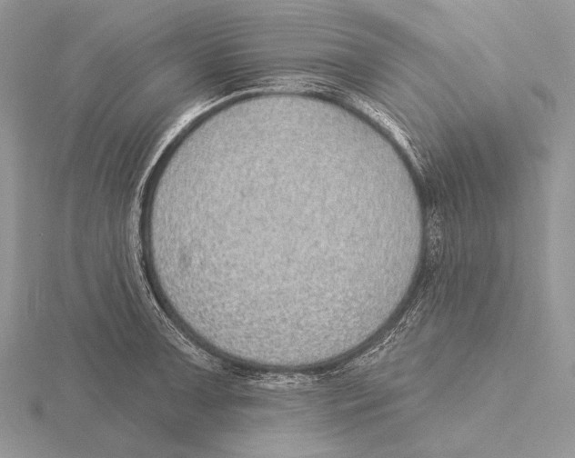 X0000115631091200912081038