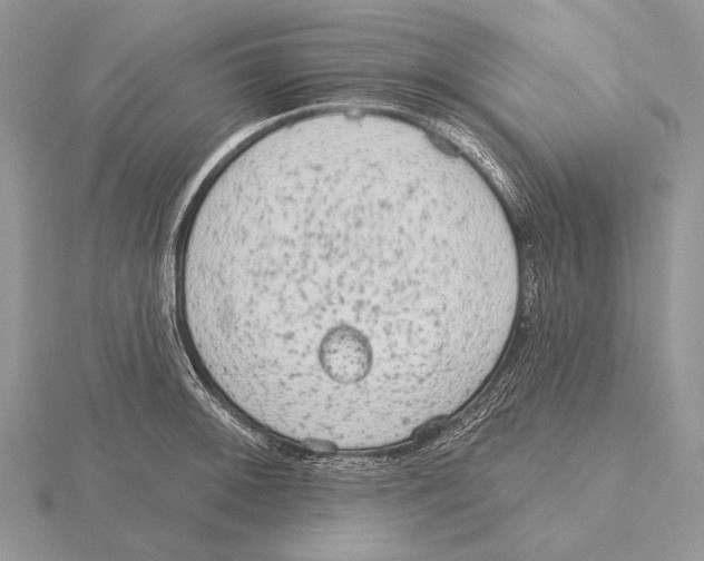 X0000115631092200912081038