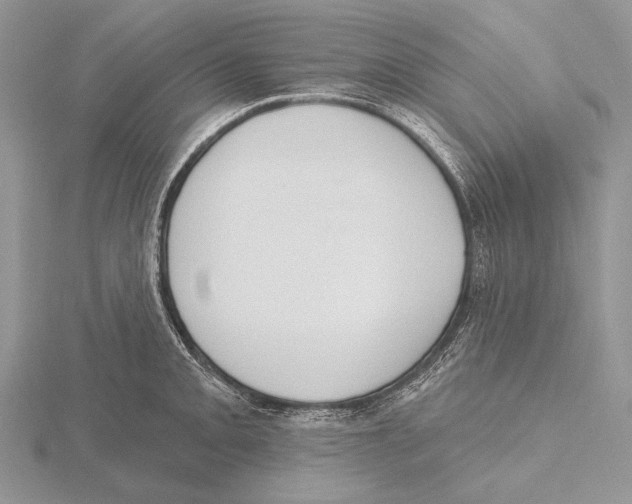 X0000115631093200912081038