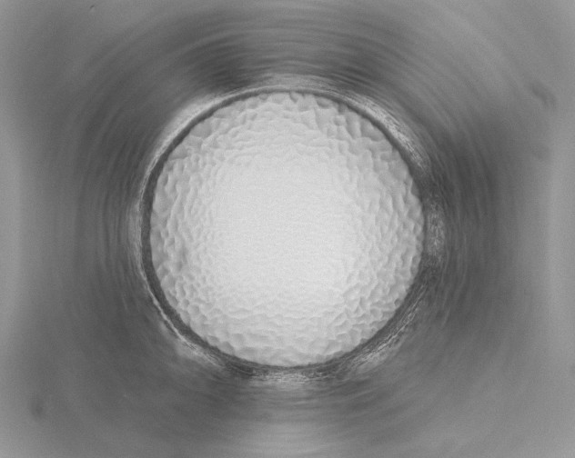 X0000115631094200912081038