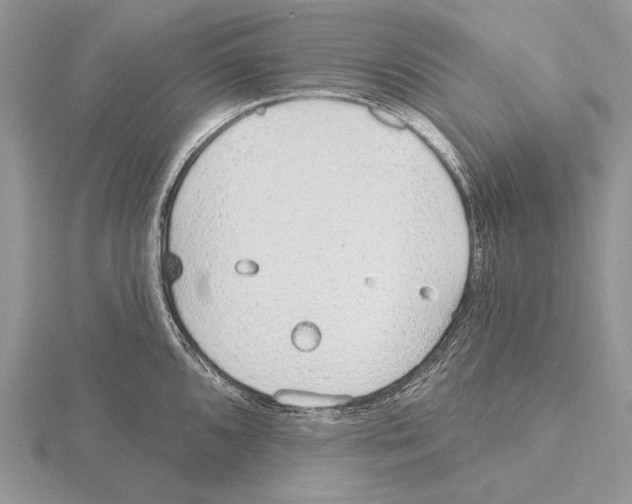 X0000115631096200912081038