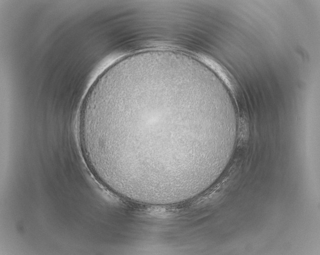 X0000115631098200912081038