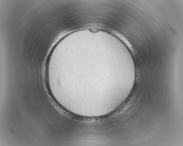 X0000115631099200912081038