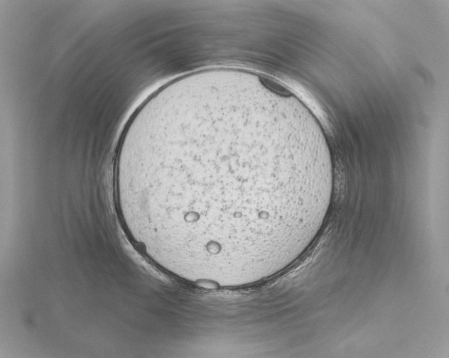 X0000115631100200912081038