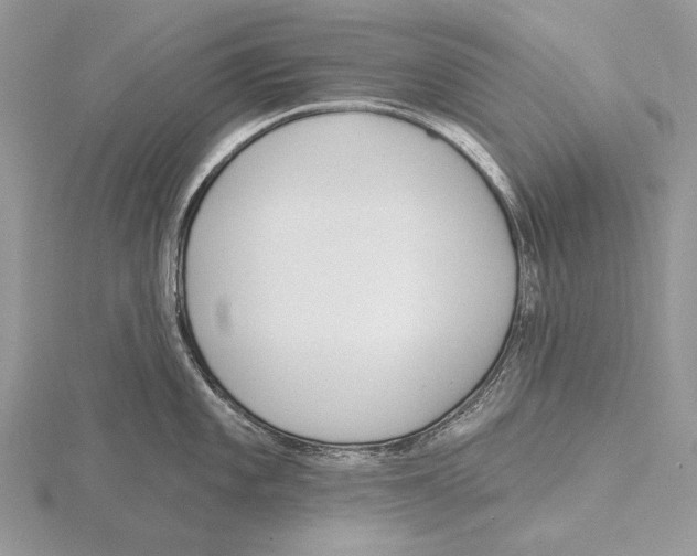 X0000115631101200912081038