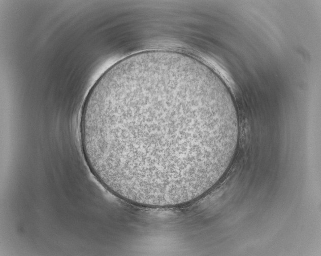 X0000115631103200912081038